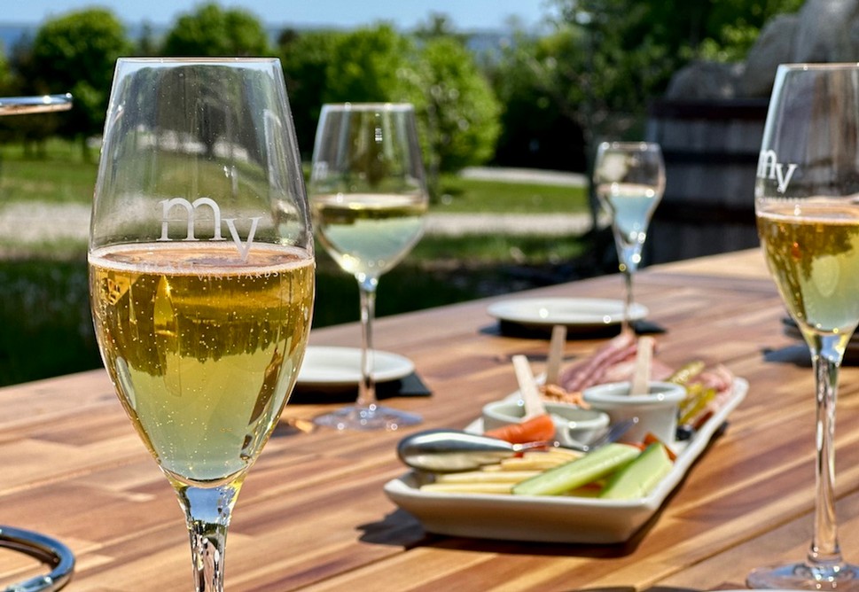 Guests toasting the view at Mari Vineyards