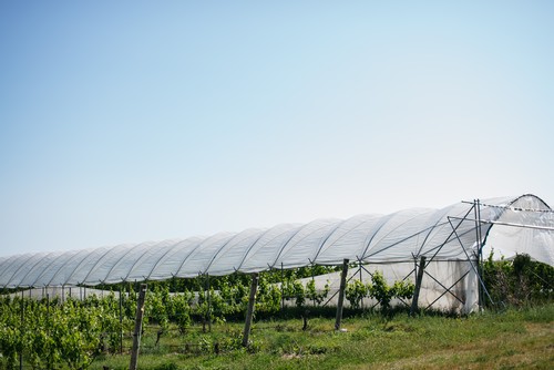 Hoop House