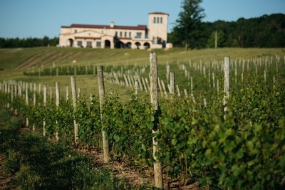  Bella Vista Vineyard and the winery